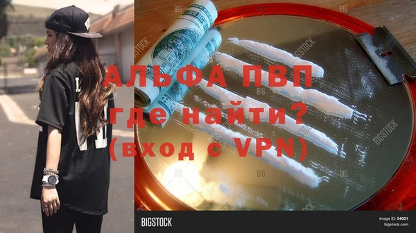 шишки Заволжск