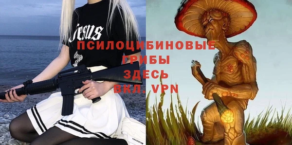 скорость Заводоуковск