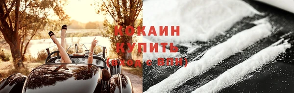 шишки Заволжск