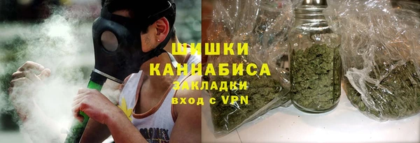 шишки Заволжск