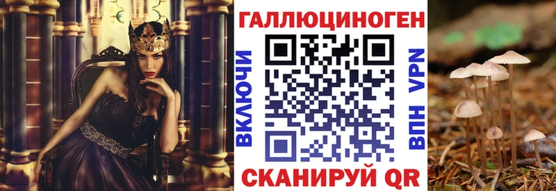 Купить где  Рузаевка  Галлюциногенные грибы Psilocybine cubensis 